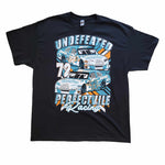 Perfectville Race Car