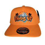 Phins Up Traditional Bill Hat
