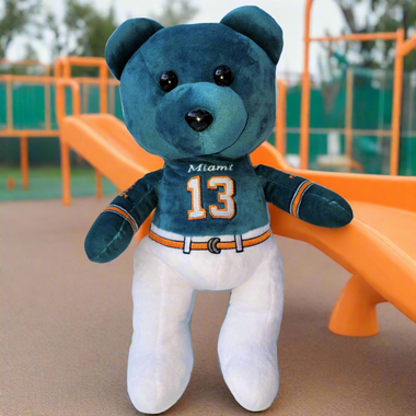 Myles the Phins Bear