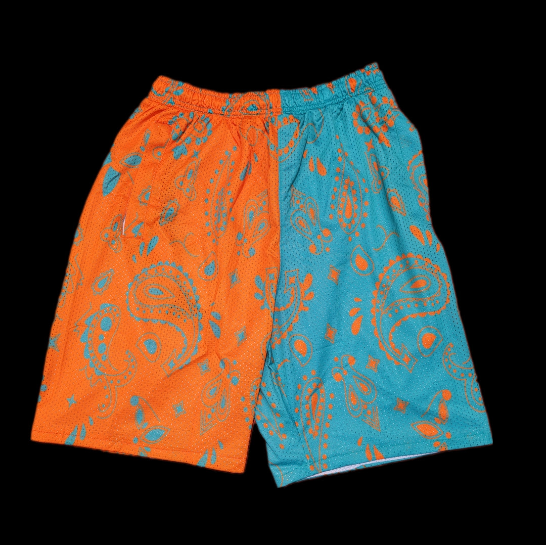 Mesh Split Paisley Aqua/Orange Shorts